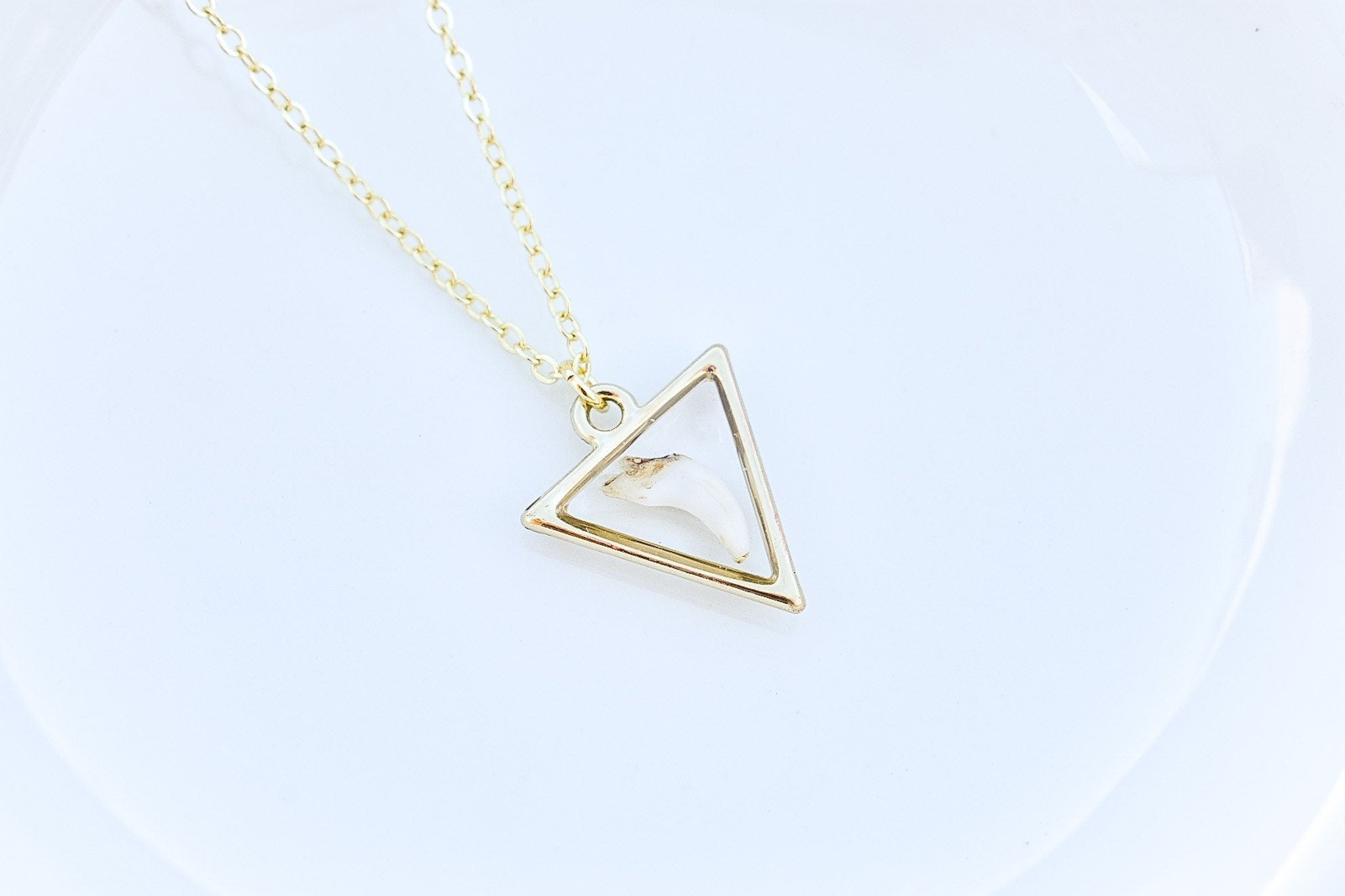 Custom Shark Tooth or Fossil Necklace – Handmade Resin Pendant with Bones or Fossils – Unique Memorial Jewelry Gift