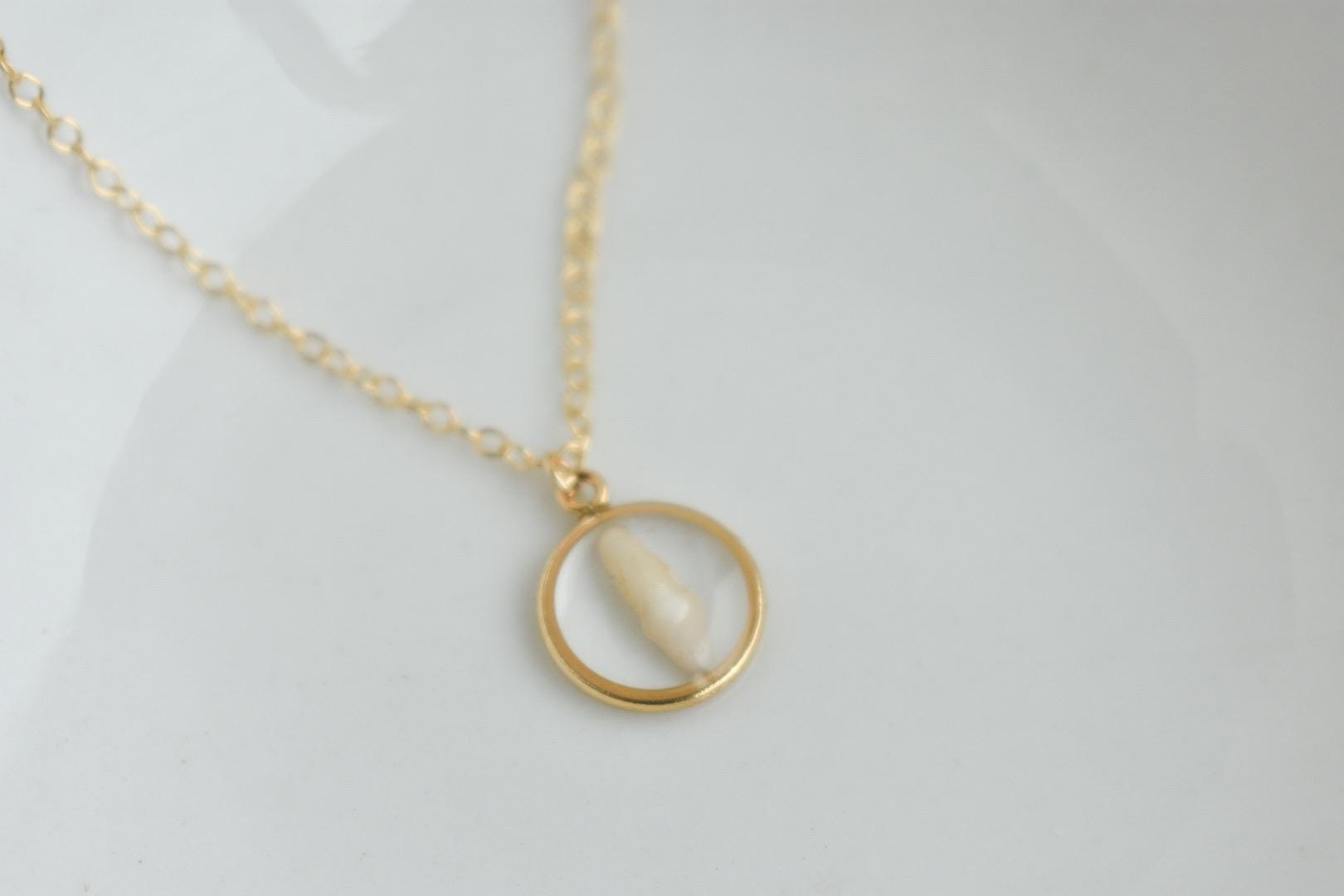 Handmade Pet Tooth Custom Necklace, Gold Filled, Dog or Cat Resin Keepsake Waterproof Jewelry