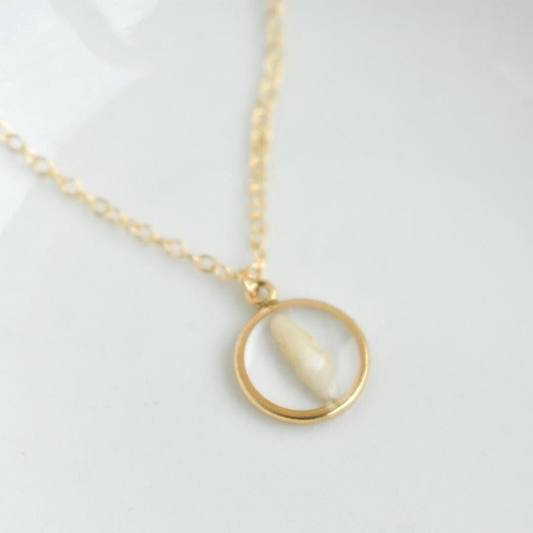 Handmade Pet Tooth Custom Necklace, Gold Filled, Dog or Cat Resin Keepsake Waterproof Jewelry