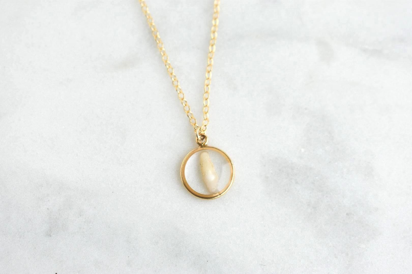 Handmade Pet Tooth Custom Necklace, Gold Filled, Dog or Cat Resin Keepsake Waterproof Jewelry