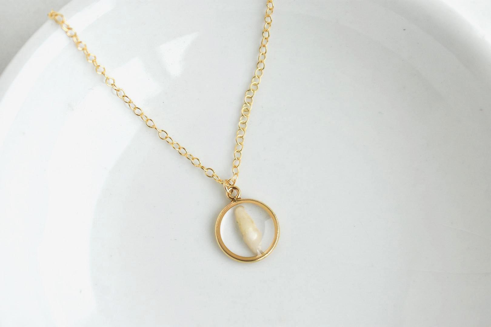 Handmade Pet Tooth Custom Necklace, Gold Filled, Dog or Cat Resin Keepsake Waterproof Jewelry
