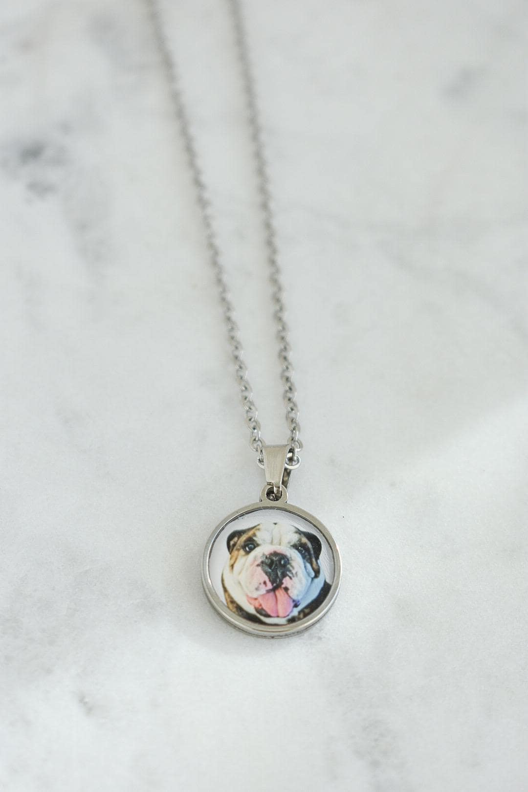 May include: A silver-toned necklace featuring a circular pendant with a detailed image of a bulldog's face. The dog has a white and brown coat, with its tongue sticking out. The chain is delicate and hangs against a white background.
