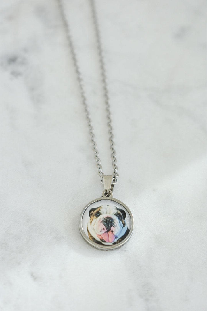 May include: A silver-toned necklace featuring a circular pendant with a detailed image of a bulldog's face. The dog has a white and brown coat, with its tongue sticking out. The chain is delicate and hangs against a white background.